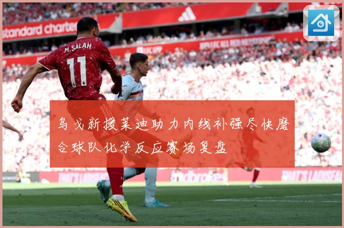 乌戈新援莱迪助力内线补强尽快磨合球队化学反应赛场复盘
