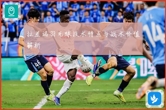 拉差诺羽毛球技术特点与战术价值解析
