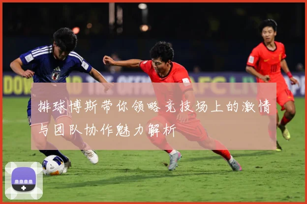 排球博斯带你领略竞技场上的激情与团队协作魅力解析